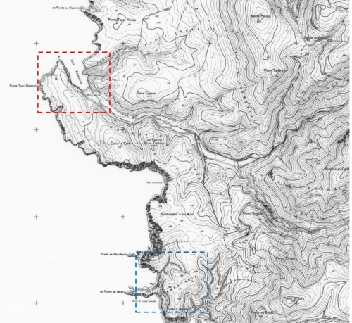 Caladomestica_Marco_Piras