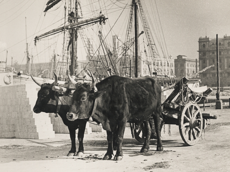 Statistiche del porto (XVII sec.)