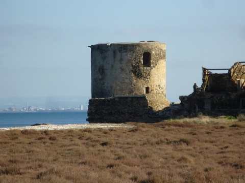 torre las salinas